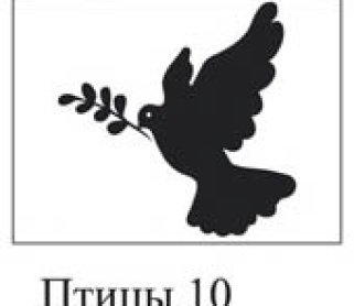 Птицы